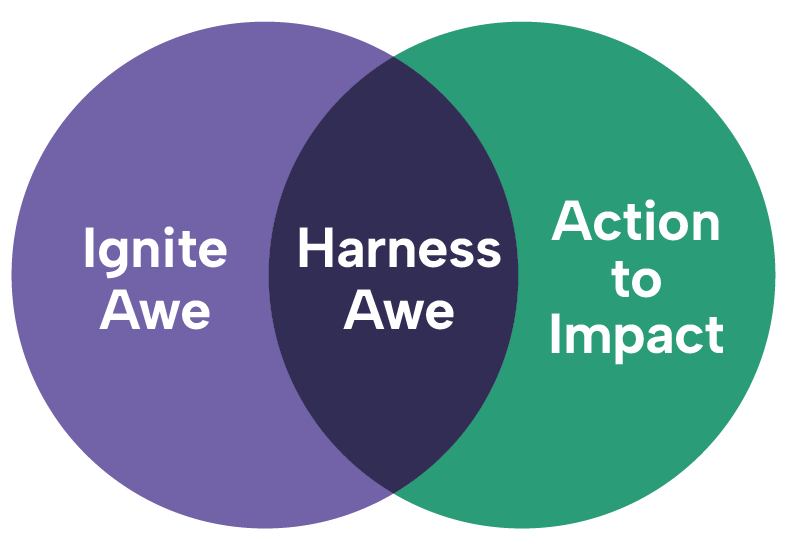 Impact diagram