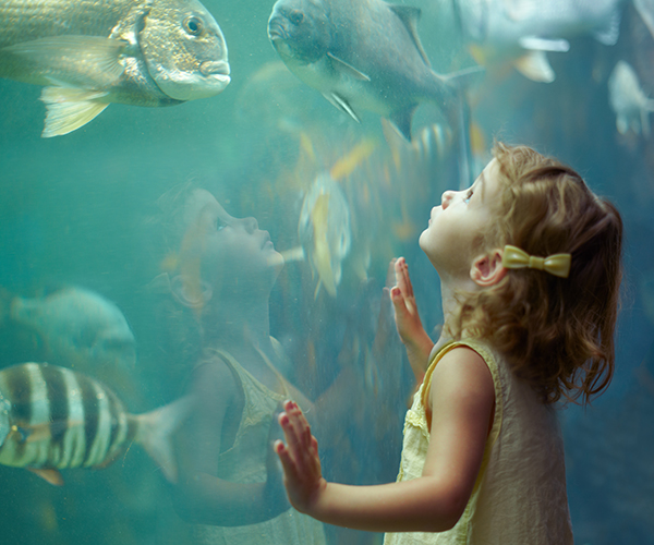 Child in awe of the natural world